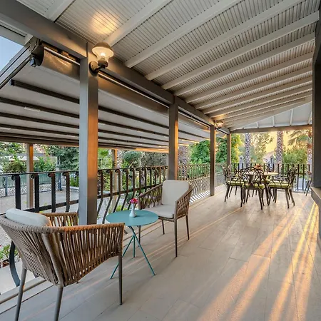 Sofa Zeytin Apartamento